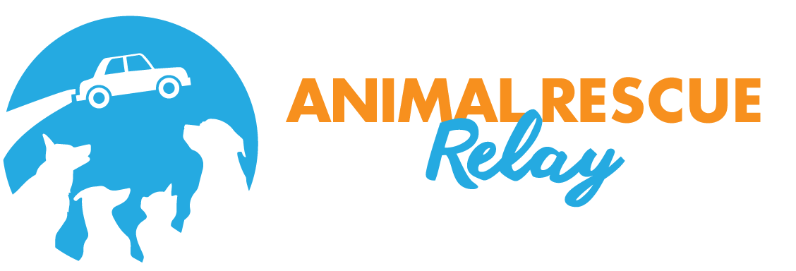 Animal Rescue Relay