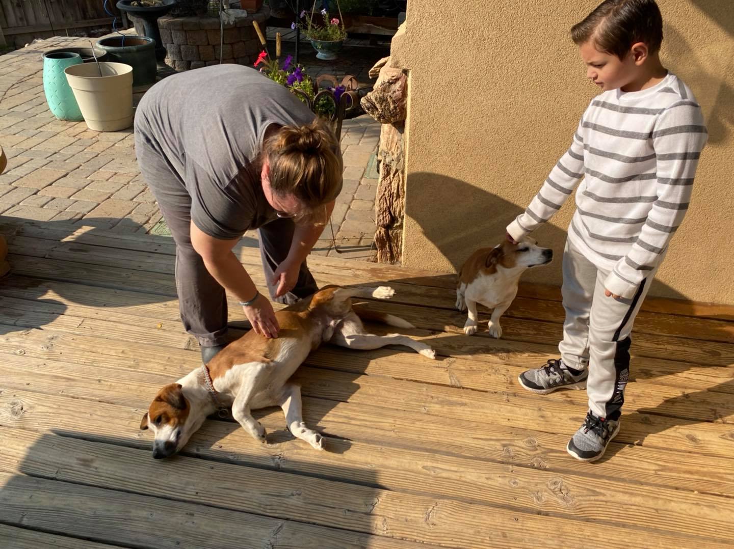 Animal Rescue Relay